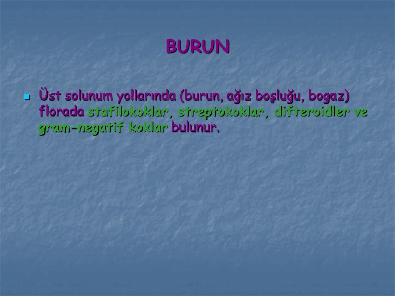BURUN Üst solunum yollarında (burun, ağız boşluğu, bogaz) florada stafilokoklar, streptokoklar, difteroidler ve gram-negatif